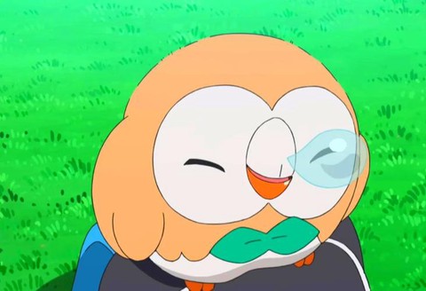 木之宝可梦是什么宝可梦[图2]