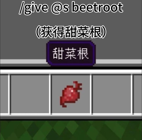 我的世界萝卜怎么得[图2]