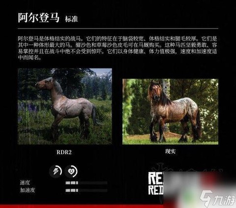 荒野大镖客什么马大[图1]