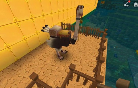 迷你的世界鸵鸟吃什么[图1]