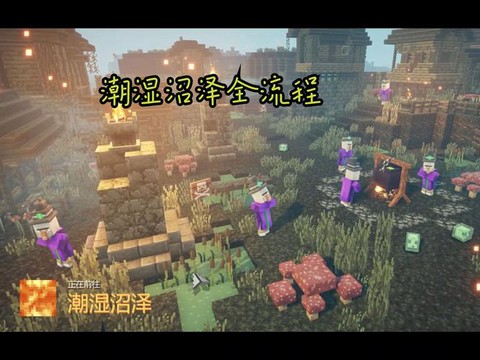 我的世界沼泽怎么做[图2]