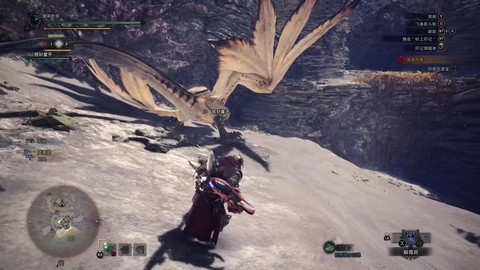 怪物猎人世界怎么捕捉[图1]